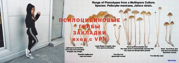 индика Алексин