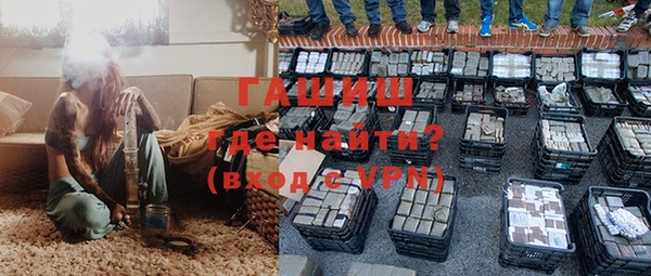 индика Алексин