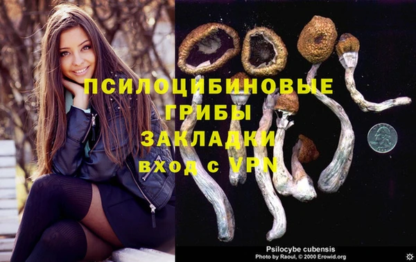 ГАЛЛЮЦИНОГЕННЫЕ ГРИБЫ Алексеевка
