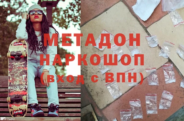 индика Алексин