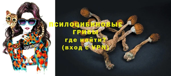 гашик Алзамай