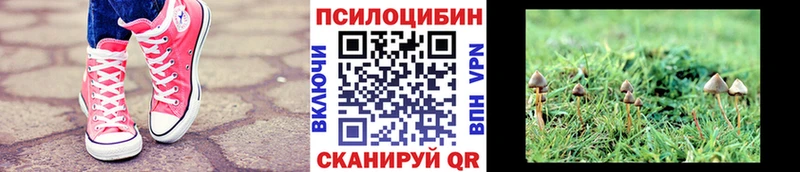 Галлюциногенные грибы Cubensis  магазин    Ливны 